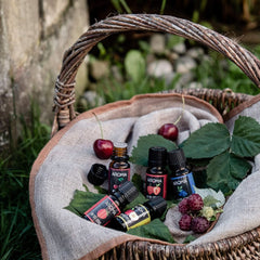 Myaroma | Zestaw: Las i łąka - Czysty naturalny aromat o smaku owocowym i o smaku owocowym (5 x 10 ml) | Bezcukrowe i niesłodzone słodziki Naty Shop