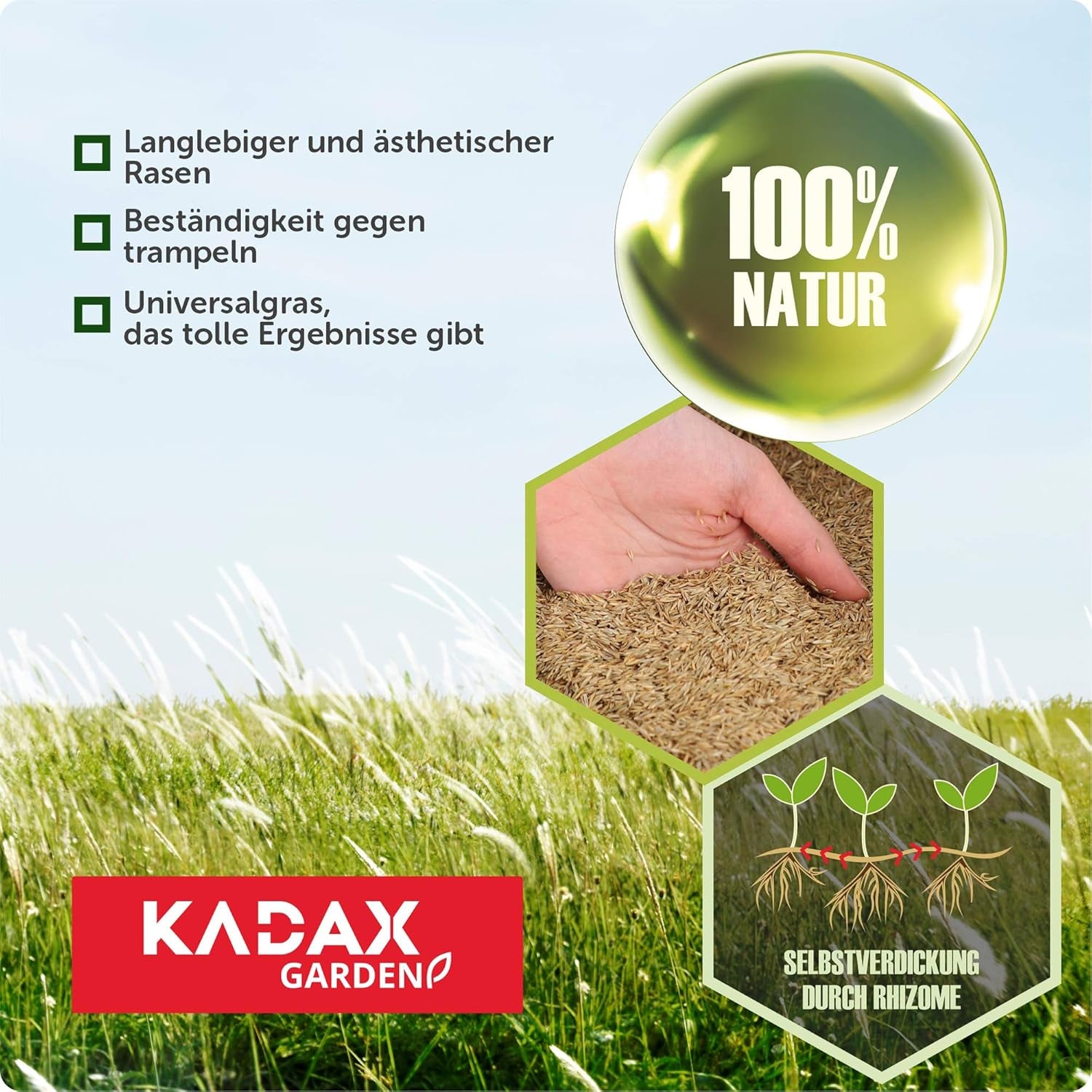KADAX Ziergras, 200 M², Ziergrassaatgut, Grassaatgut, Rasenmischung, Grassamen, Rasensaat, Wirksames Saatgut, Rasensaatmischung, Gras, Saatgutmischung (5 Kg)