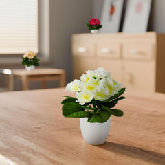 PASCH® Begonie Im Hochglanz-Keramiktopf | Kunstblumen Im Topf | Künstliche Blumen Wie Echt | Fake Blumen | Kunstblumen Wie Echt (Japanische Begonie, 3 Stück, 16Cm)