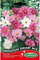 Kosz na biżuterię, wielokolorowy, EC1515