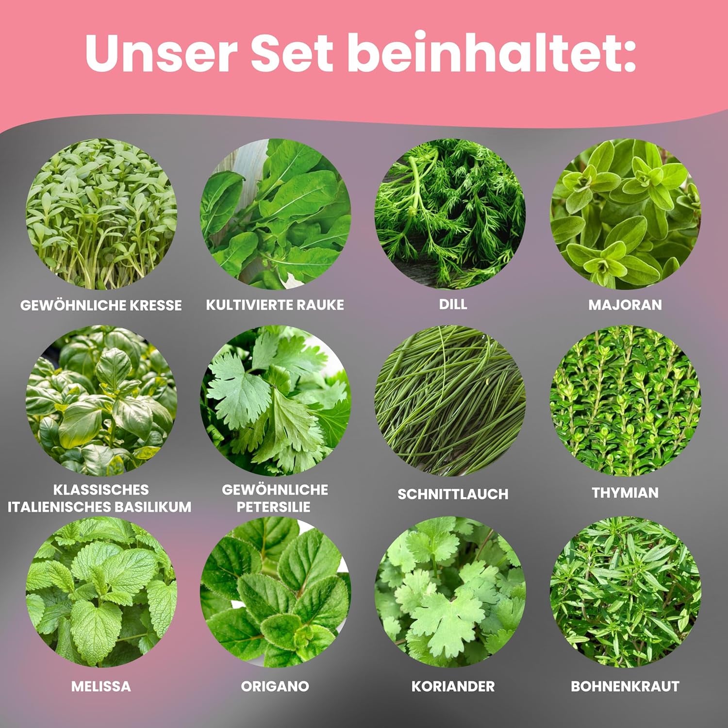 LERAVA Kräutersamen Set – 12 Sorten: Basilikum Samen, Parsilie Samen, Koriander, Oregano & mehr – Saatgut für frische Kräuter im Garten oder Topf, Premium Samen für Küche & Balkon - Zestaw Samen, nasiona