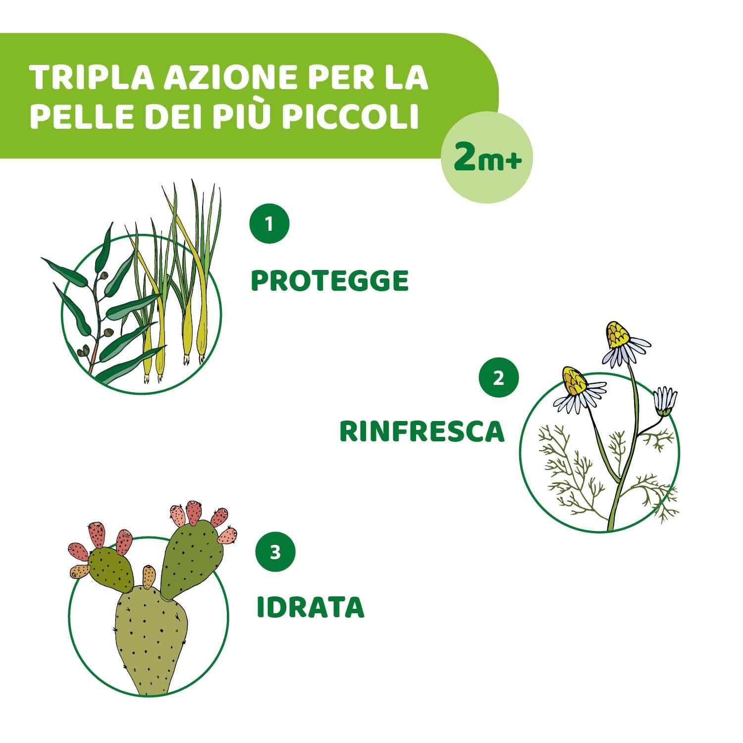 Chusteczki ochronne Chicco NaturalZ, 20 szt. Naturalna ochrona na lato z trawą cytrynową i eukaliptusem, ochrona na dzień i na noc.