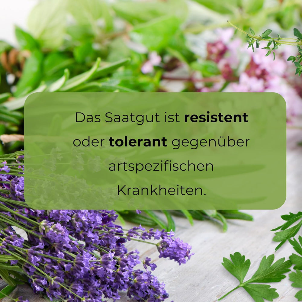 Cosmos Sensation Mix 1g nasion, Cosmos Mix Kwiaty letnie, Rośliny ogrodowe Rośliny balkonowe, Nasiona kwiatów