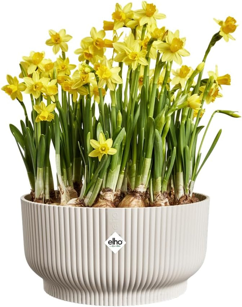 elho Vibes Fold Bowl 25 - Ghiveci de flori de interior - 100% plastic reciclat - Ø 24,9 x H 12,1 cm - Alb/In Alb