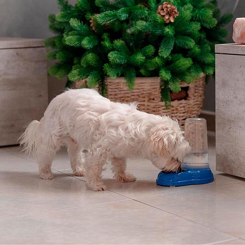 Ferplast Futter- oder Wasserspender für Hunde und Katzen AZIMUT 600 Futtertrog Woda 0,6 litra, Rutschfester Boden, 12,5 x 19 x wys. 19,5 cm niebieski
