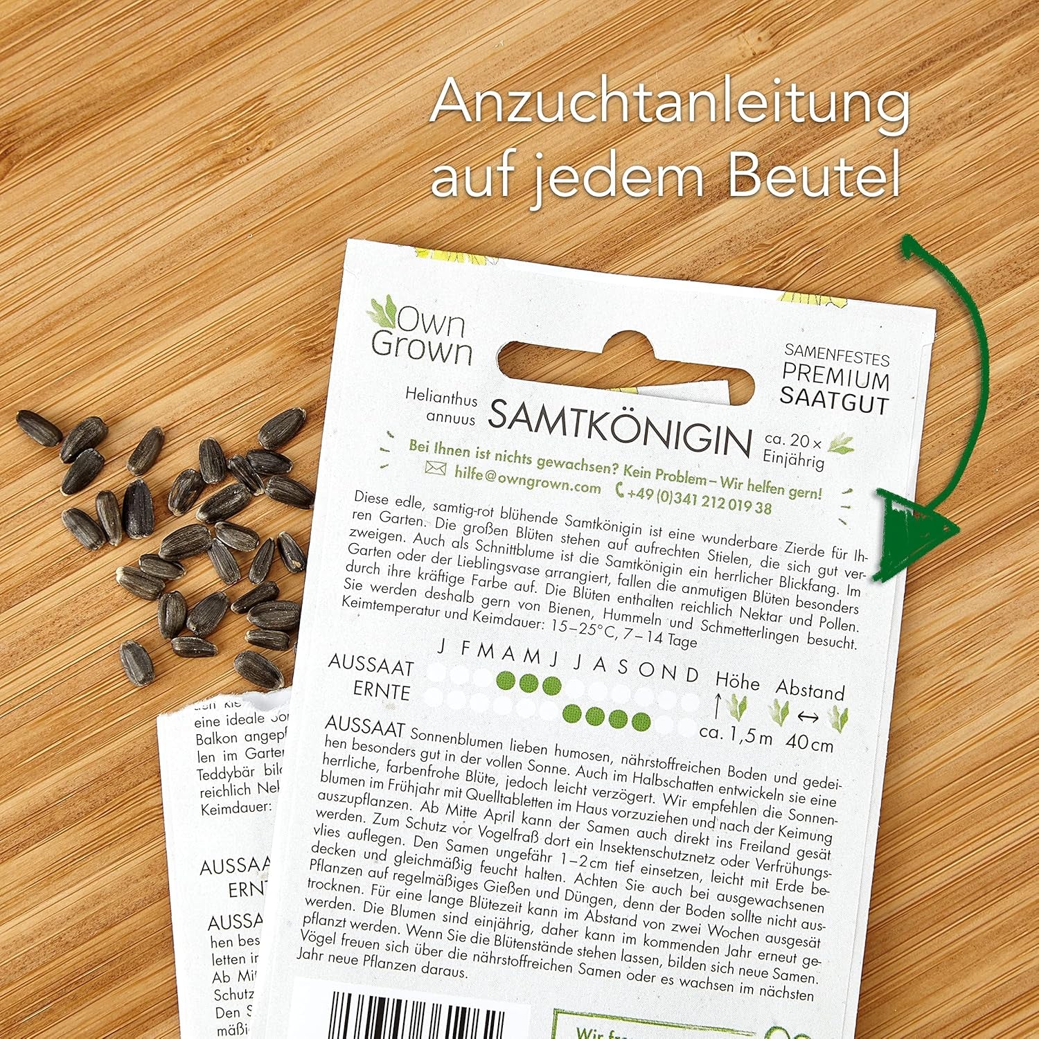 Nasiona słonecznika dyskowca żółtego (Helianthus annuus): Nasiona słonecznika premium, Nasiona słonecznika do uprawy około 20 roślin słonecznika - Nasiona kwiatów przyjazne dla owadów od OwnGrown