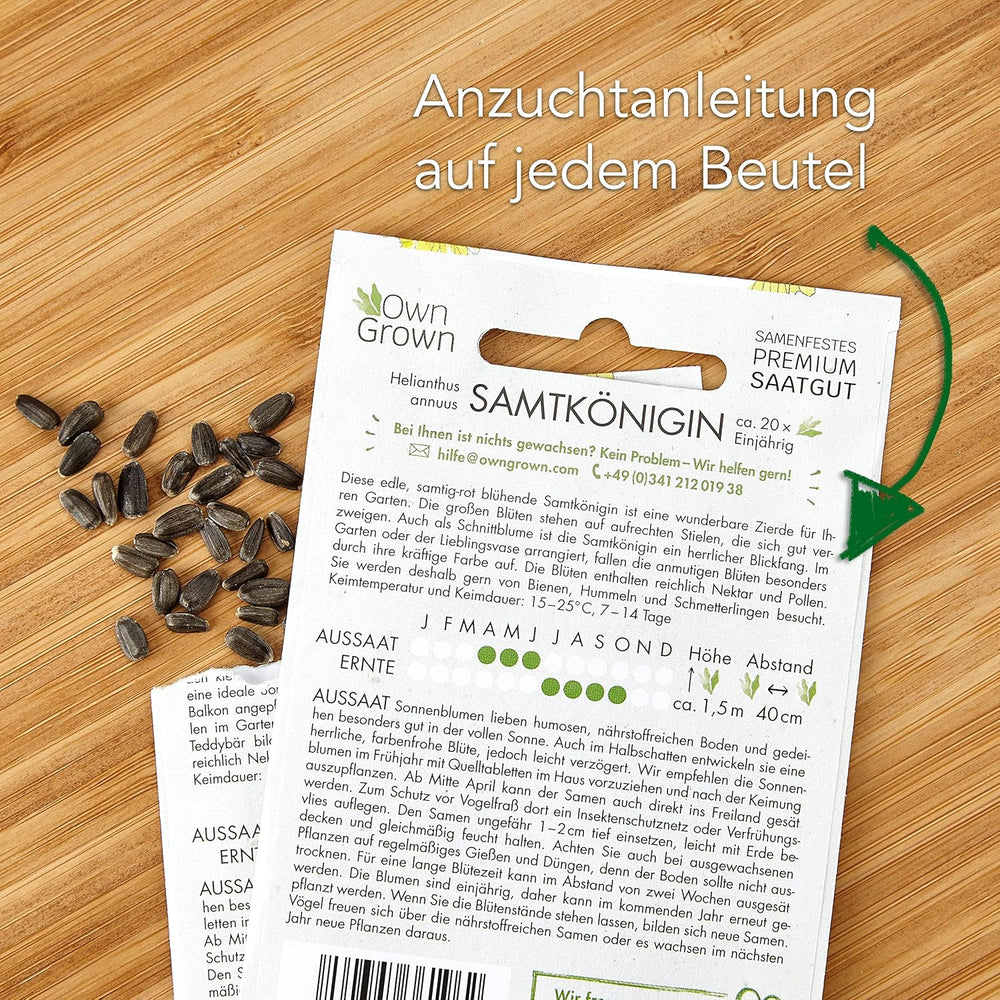 Nasiona słonecznika dyskowca żółtego (Helianthus annuus): Nasiona słonecznika premium, Nasiona słonecznika do uprawy około 20 roślin słonecznika - Nasiona kwiatów przyjazne dla owadów od OwnGrown