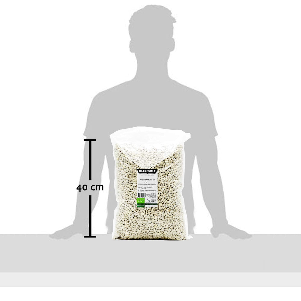 , Fasola cannellini ekologiczna 5 kg, organiczne rośliny strączkowe z kontrolowanych upraw, bogata w zboża Naty Shop
