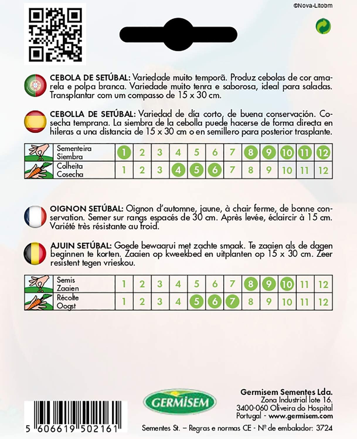 Zwiebel VALENCIANA SETÚBAL EC1005 Mehrfarbig