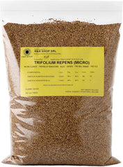 R&R SHOP - Rasensamen, Mikro-Klee Trifolium Repens, Kein Mähen Erforderlich, Begehbar Und Bodendecker (200G – 50M²)