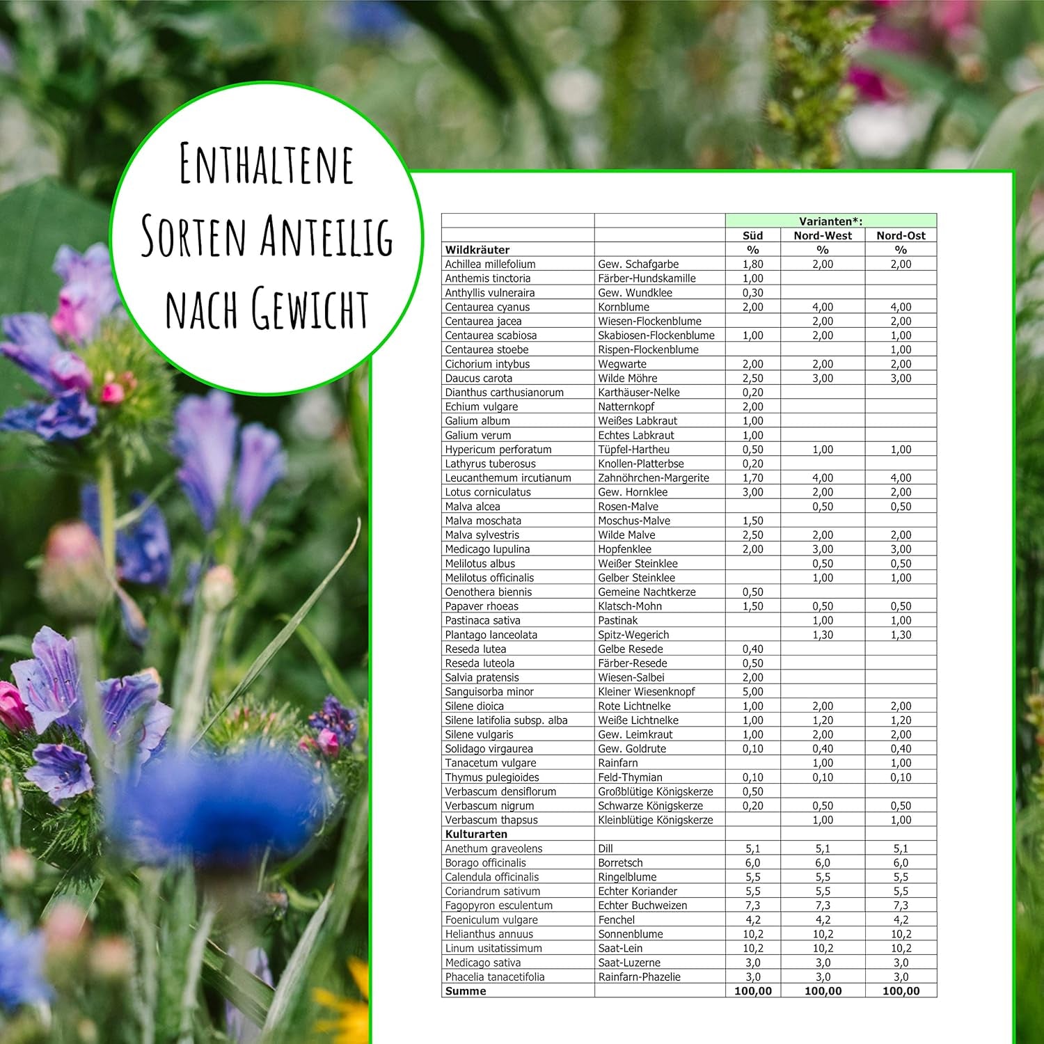 Nasiona pszczół - kwiaty łąkowe, wieloletnie i odporne na zimę, nasiona - ponad 40 rodzimych kwiatów i dzikich ziół, specjalny dobór gatunków dla południowych Niemiec, 50g