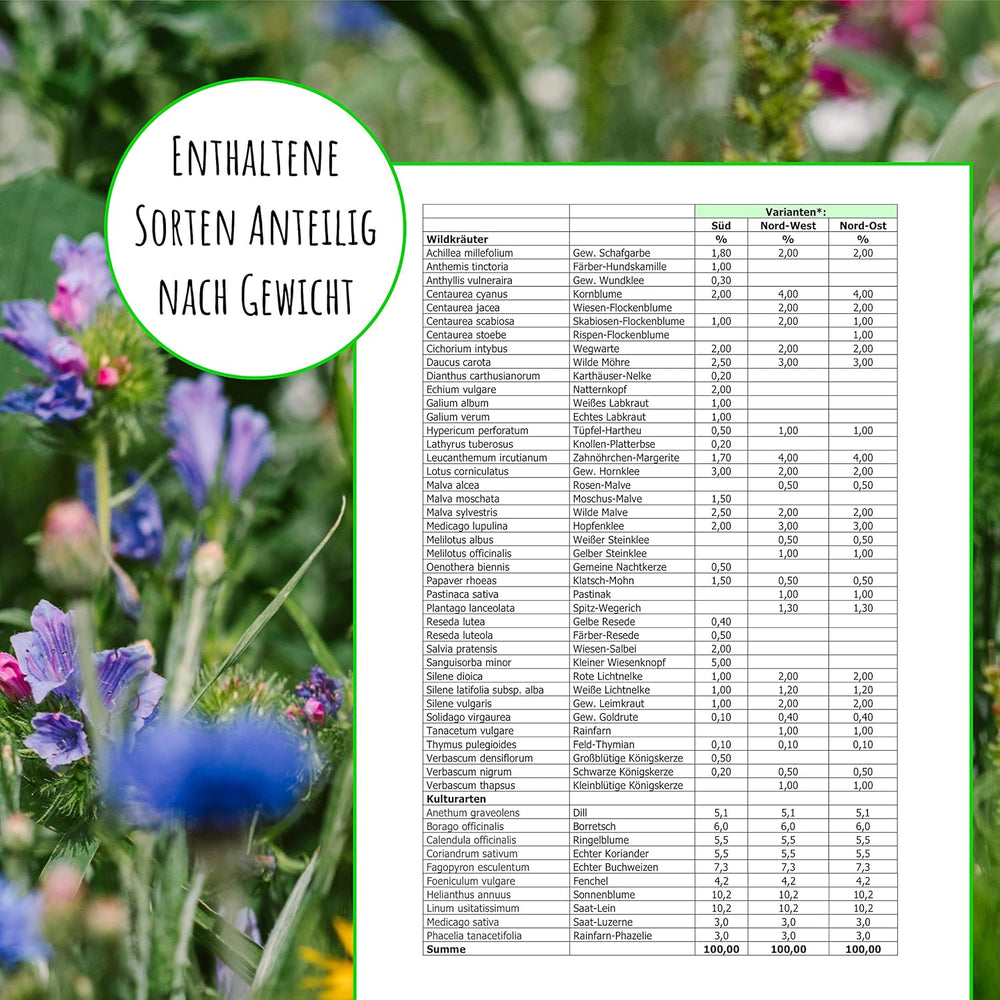 Nasiona pszczół - kwiaty łąkowe, wieloletnie i odporne na zimę, nasiona - ponad 40 rodzimych kwiatów i dzikich ziół, specjalny dobór gatunków dla południowych Niemiec, 50g