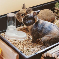 Ferplast Futter- oder Wasserspender für Hunde und Katzen AZIMUT 600 Futtertrog Woda 0,6 litra, Rutschfester Boden, 12,5 x 19 x wys. 19,5 cm niebieski