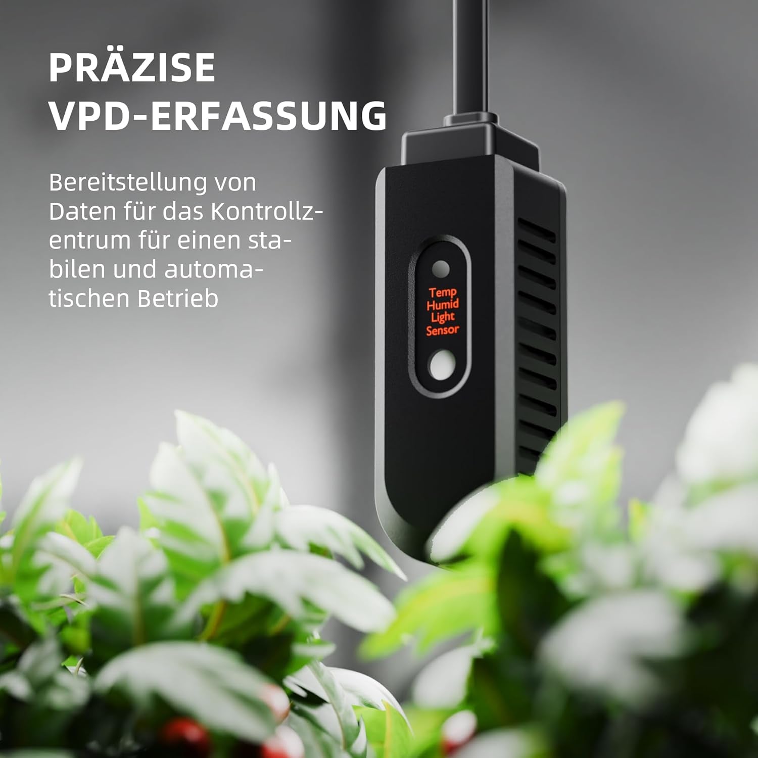 Osuszacz SPIDER FARMER, Osuszacz do roślin 12L z kontrolą wilgotności, Sterowanie aplikacją, Funkcja timera 24-godzinnego do namiotów uprawowych, Elektryczny osuszacz do ogrodów, mieszkań i piwnic