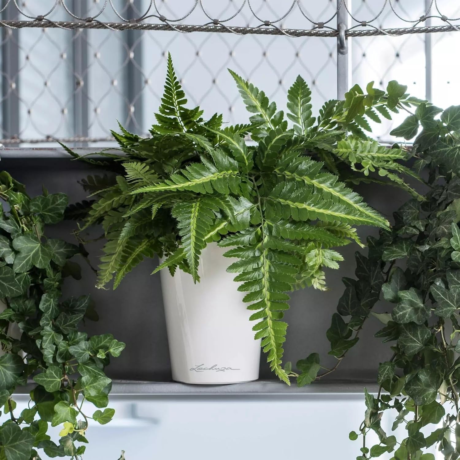 LECHUZA DELTINI alb lucios 14900