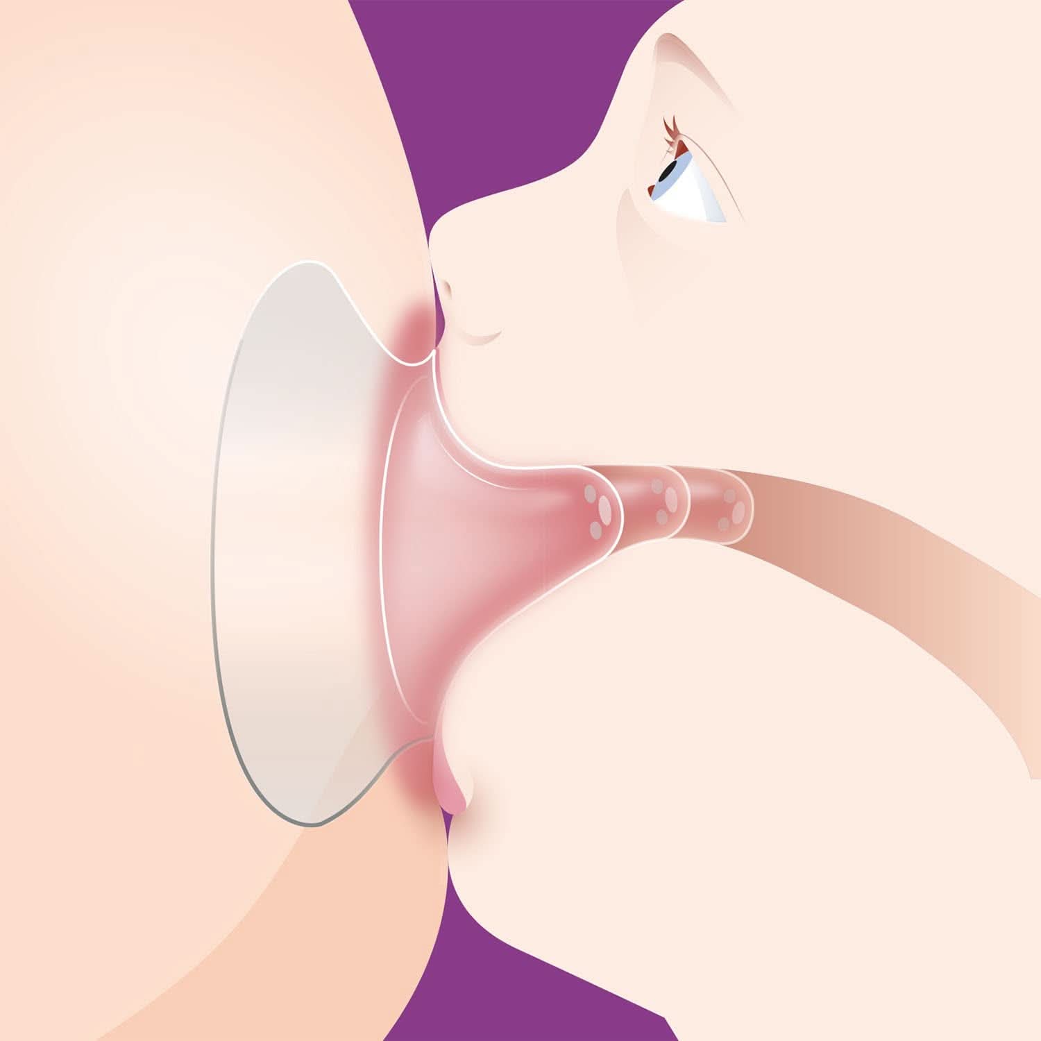 PHILIPS Avent SCF153/03 Ochraniacze na sutki - Średniej wielkości żywność i akcesoria do karmienia Baby Naty Shop