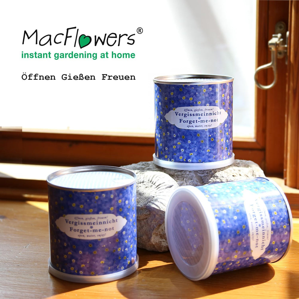 Nie patrz na mnie w pudełku z kwiatami | Zestaw wzrostowy jako specjalny prezent | Otwórz, woda, ciesz się | Na pożegnanie lub w podziękowaniu