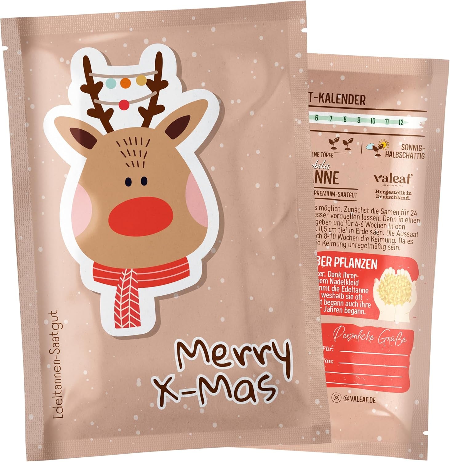 Choinka 2030 - Nasiona choinek firmy Nordmann do sadzenia choinki, idealne jako tajemniczy prezent bożonarodzeniowy od Świętego Mikołaja