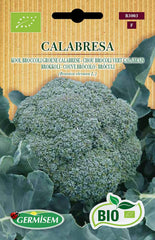 Brokkoli CALABRESA, ECBIO3003