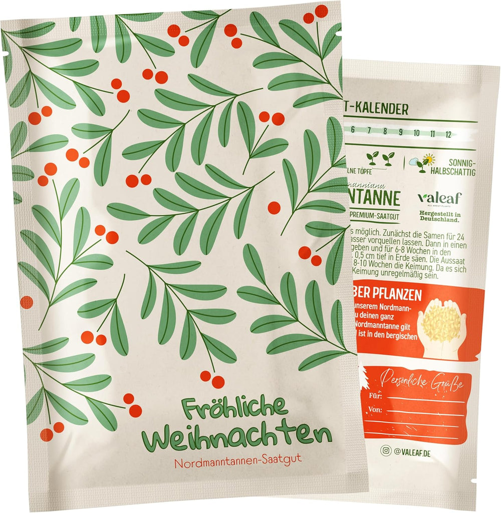 Choinka 2030 - Nasiona choinek firmy Nordmann do sadzenia choinki, idealne jako tajemniczy prezent bożonarodzeniowy od Świętego Mikołaja