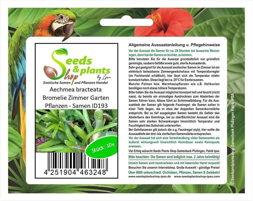 Stk - 10X Aechmea Bracteata Bromelie Zimmer Garten Pflanzen - Samen ID193 -