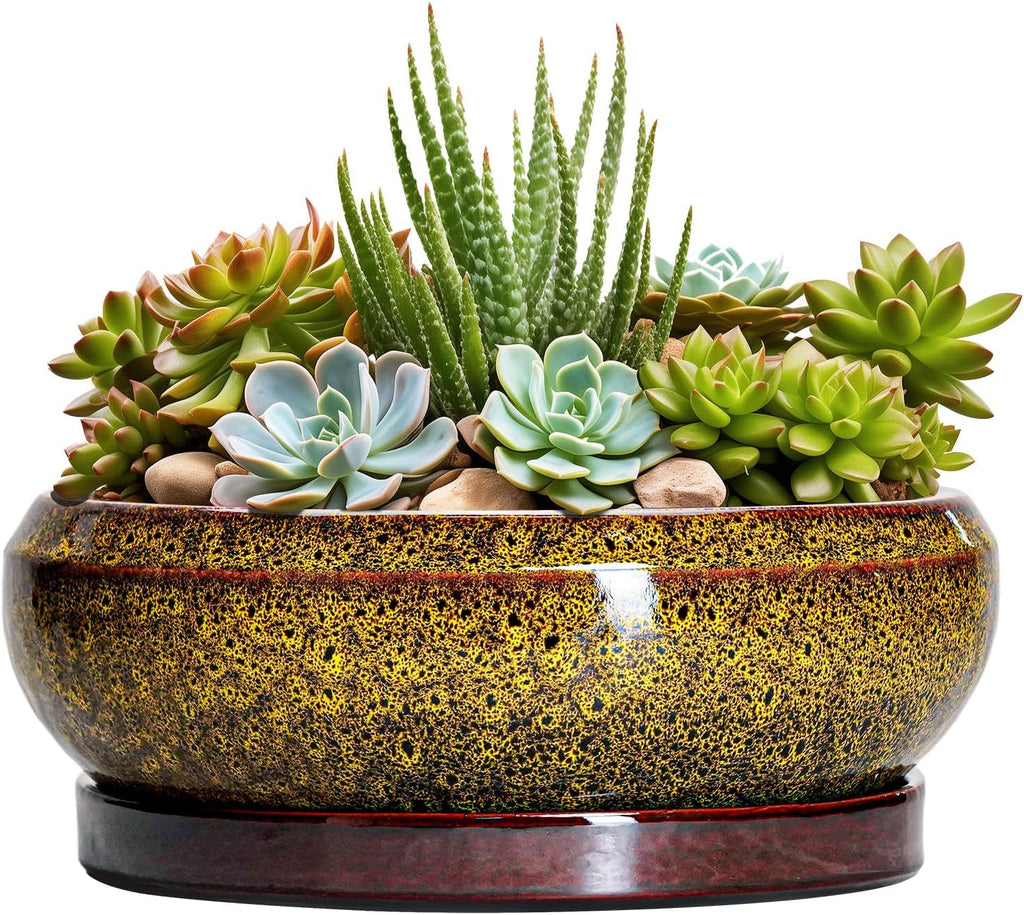 Ghiveci ceramic pentru bonsai, glazurat, puțin adânc, pentru plante suculente, cu orificiu de drenaj și farfurie din bambus pentru plante de apartament, 20,3 cm, maro