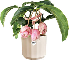 Ghiveci rotund elho Facet 17cm - pentru interior - 100% plastic reciclat - Ø 16,6 x H 14,9 cm - Roz/Roz migdală