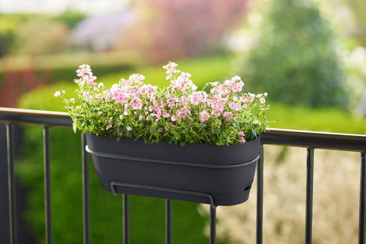 Elho Vibia Campana, ghiveci de balcon cu rezervor de apă, 50 cm, 100% plastic reciclat, Ø 49,0 x H 17,0 cm, negru/antracit