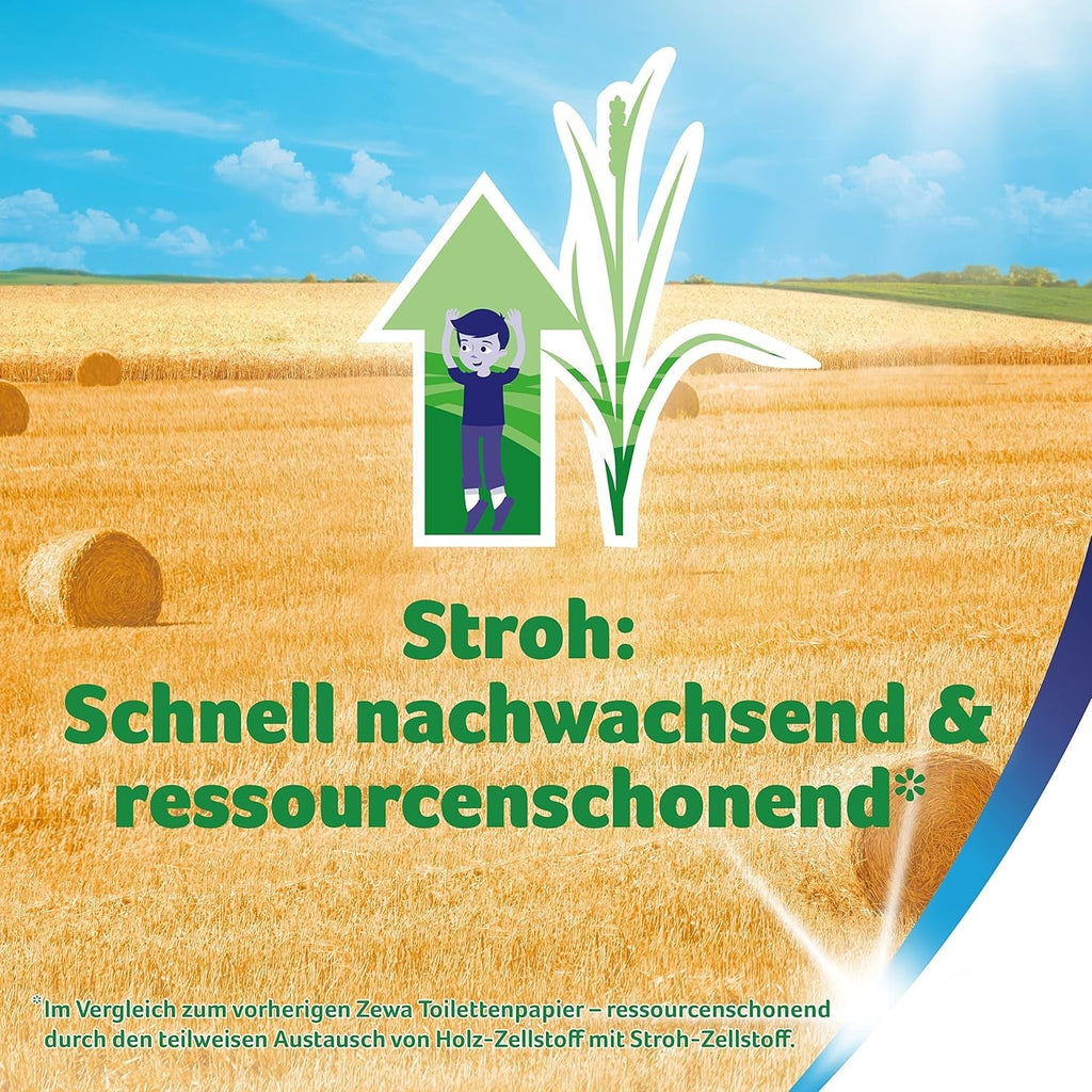 Zewa Premium hârtie igienică cu pai 48 de bucăți, rulouri 6X8, 5 straturi, pachet de stocare