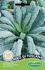 Palmkohl NERO DI TOSCANA, Mehrfarbig, EC3026