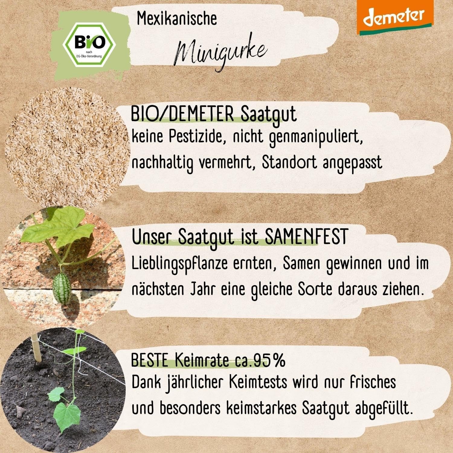 Organiczne nasiona ogórka meksykańskiego Mini, 10 nasion ogórka przekąskowego, wysoka zdolność kiełkowania, certyfikat Demeter i zapylanie otwarte | LOVEPLANTS Balkon Ogród Podwyższone Nasiona Warzyw - Schedyczne Odmiany Warzyw
