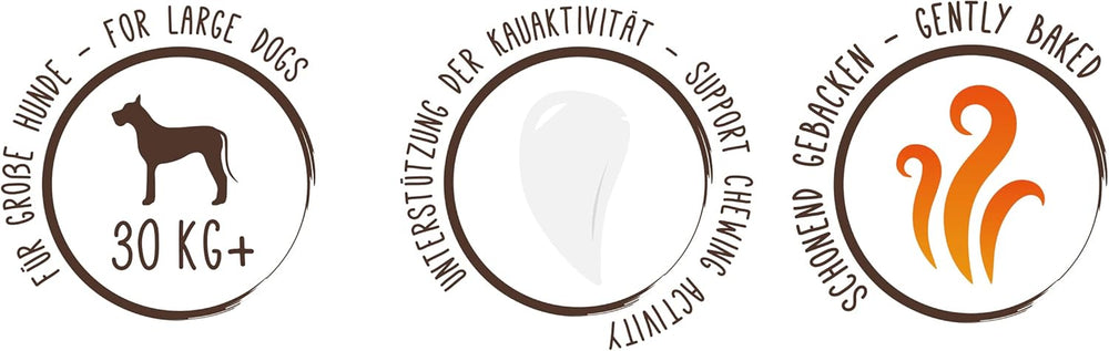 Monety musli Sammy'ego | Chrupiące pieczone przekąski dla psów | 5 monet zbożowych musli dla Twojego dużego futrzanego przyjaciela (30kg+) | 1 kg