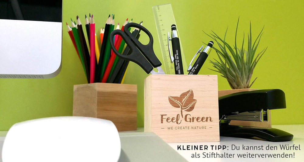 Feel Green Ecocube Weihnachtsbaum/Xmas Tree, Nachhaltige Geschenkidee (100% Eco Friendly), Grow Your Own/Anzuchtset, Pflanzen Im Holzwürfel, Made in Austria