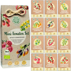 Organiczny mini zestaw nasion pomidorów: 12 odmian wolno uprawianych pomidorów | Rzadki i rodzinny koktajl, nasiona pomidorów z wiśniami i befsztykiem | Nasiona warzyw na balkon, podwyższoną grządkę, do ogrodu i na prezent | Rośliny miłosne