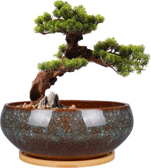 Ghiveci ceramic pentru bonsai, glazurat, puțin adânc, pentru plante suculente, cu orificiu de drenaj și farfurie din bambus pentru plante de apartament, 20,3 cm, maro