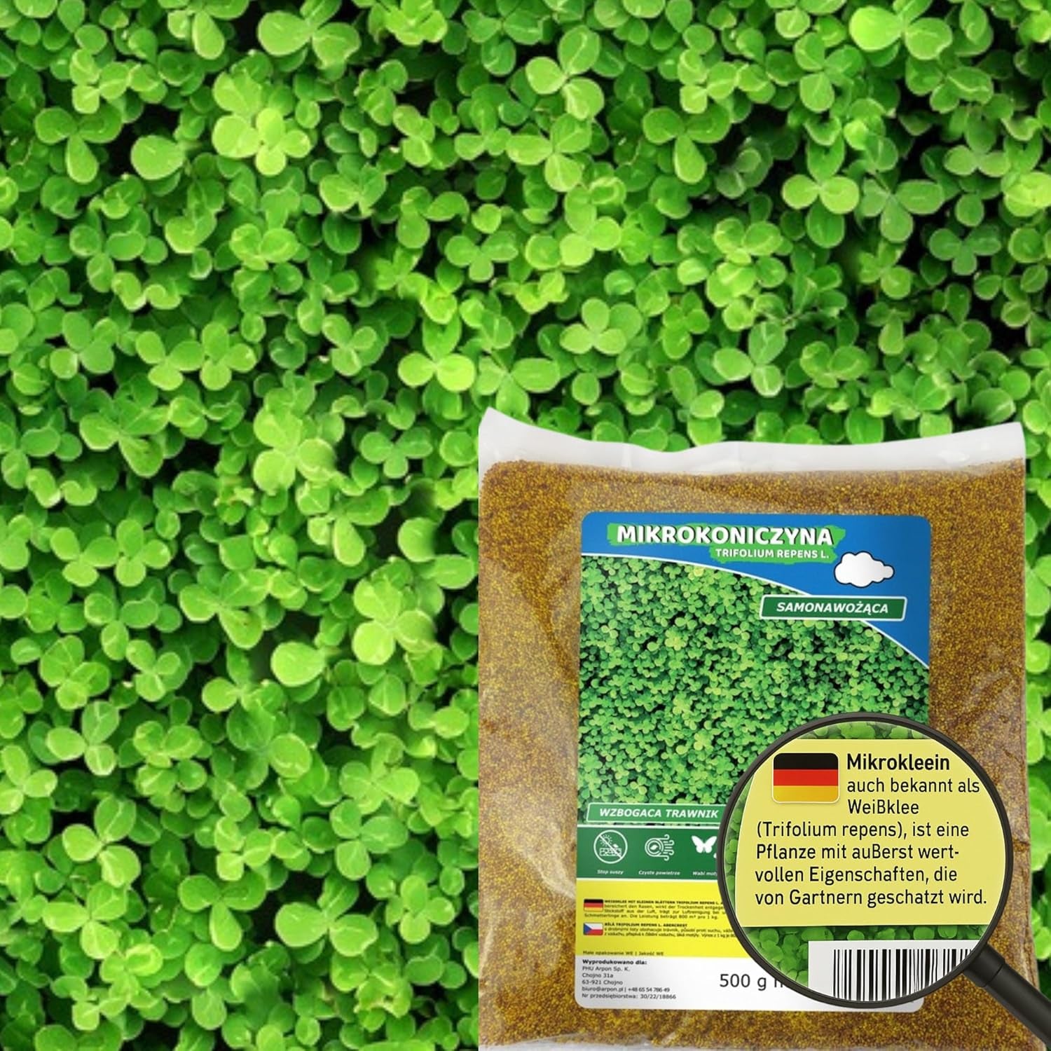 Łąka Kwiatowa – Przyjazna pszczołom mieszanka nasion kwiatów – Polne kwiaty i trawy do suchych lokalizacji – Nasiona dzikich kwiatów – Mieszanka nasion jednorocznych i wieloletnich