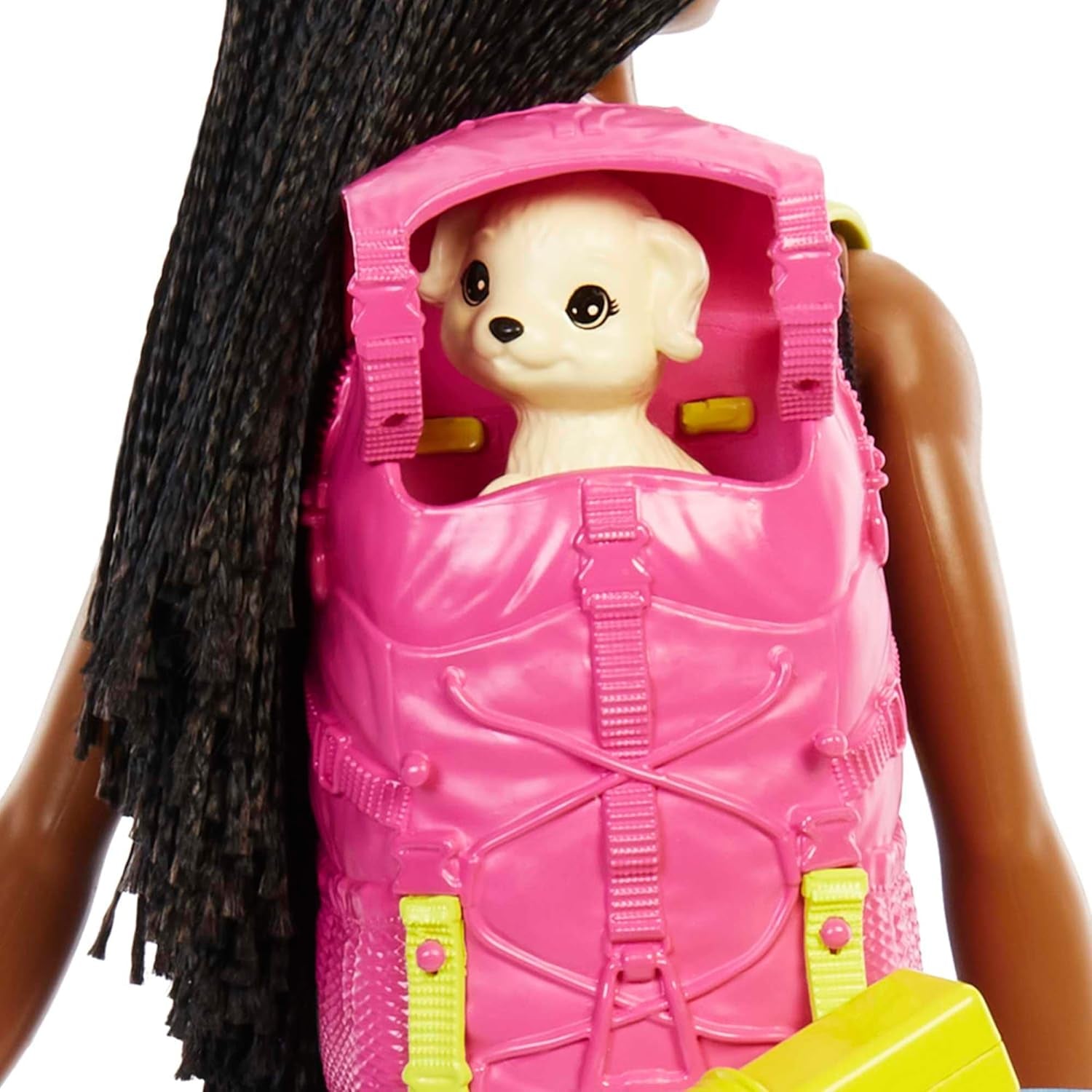 Păpușă Barbie HDF74 Twin Pack! Păpușă Brooklyn Camping (brunetă cu codițe împletite, aprox. 29 cm) cu cățeluș, rucsac, sac de dormit, 10 accesorii de camping, cadou pentru copii cu vârsta de 3 ani și peste