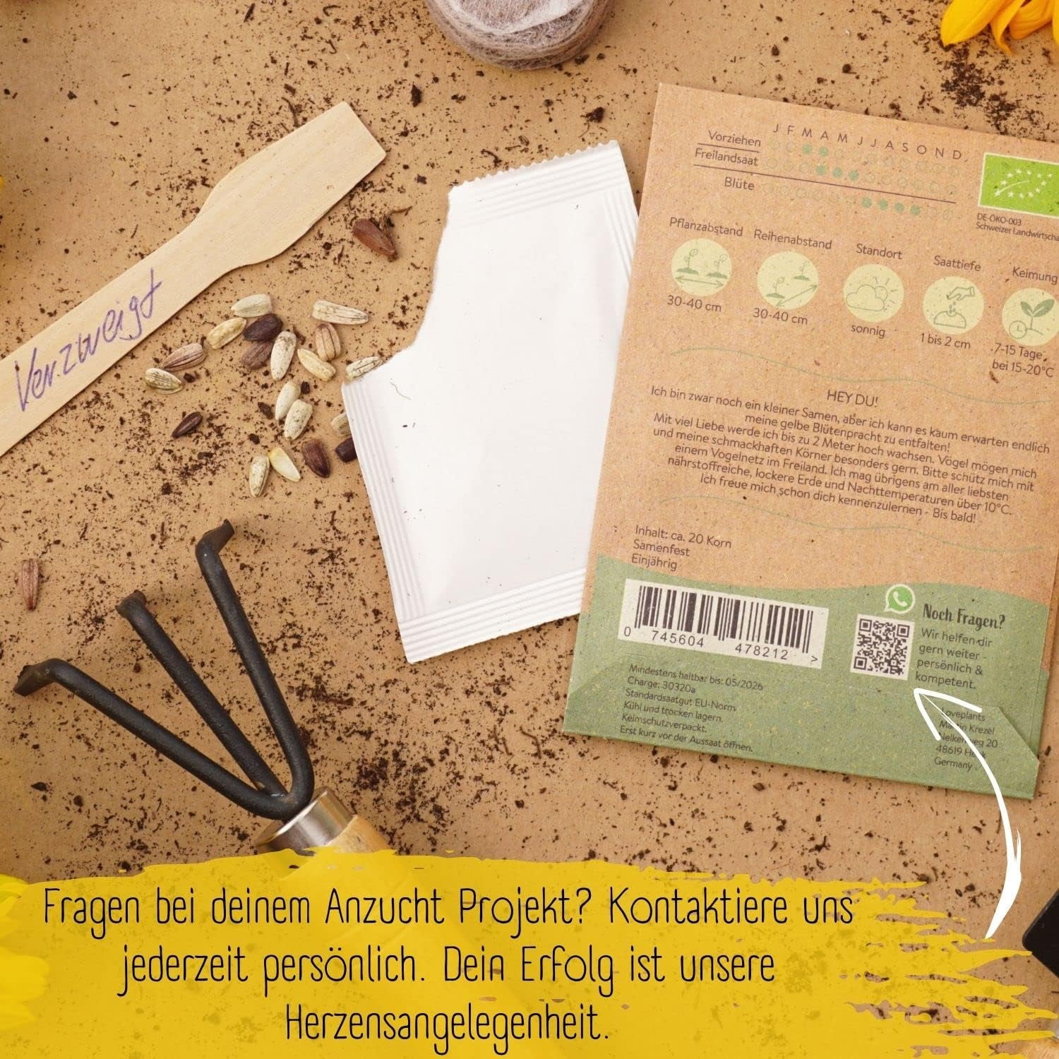 Organiczne nasiona słonecznika rozgałęzione, 20 nasion słonecznika o wysokiej zdolności kiełkowania, nasiona słonecznika do ogrodu, na balkon, kwietnik lub prezent dla gości. Darmowe zapylane nasiona kwiatów.