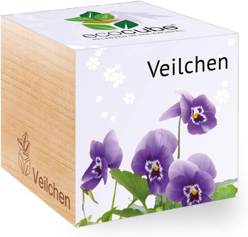 Feel Green Ecocube Weihnachtsbaum/Xmas Tree, Nachhaltige Geschenkidee (100% Eco Friendly), Grow Your Own/Anzuchtset, Pflanzen Im Holzwürfel, Made in Austria