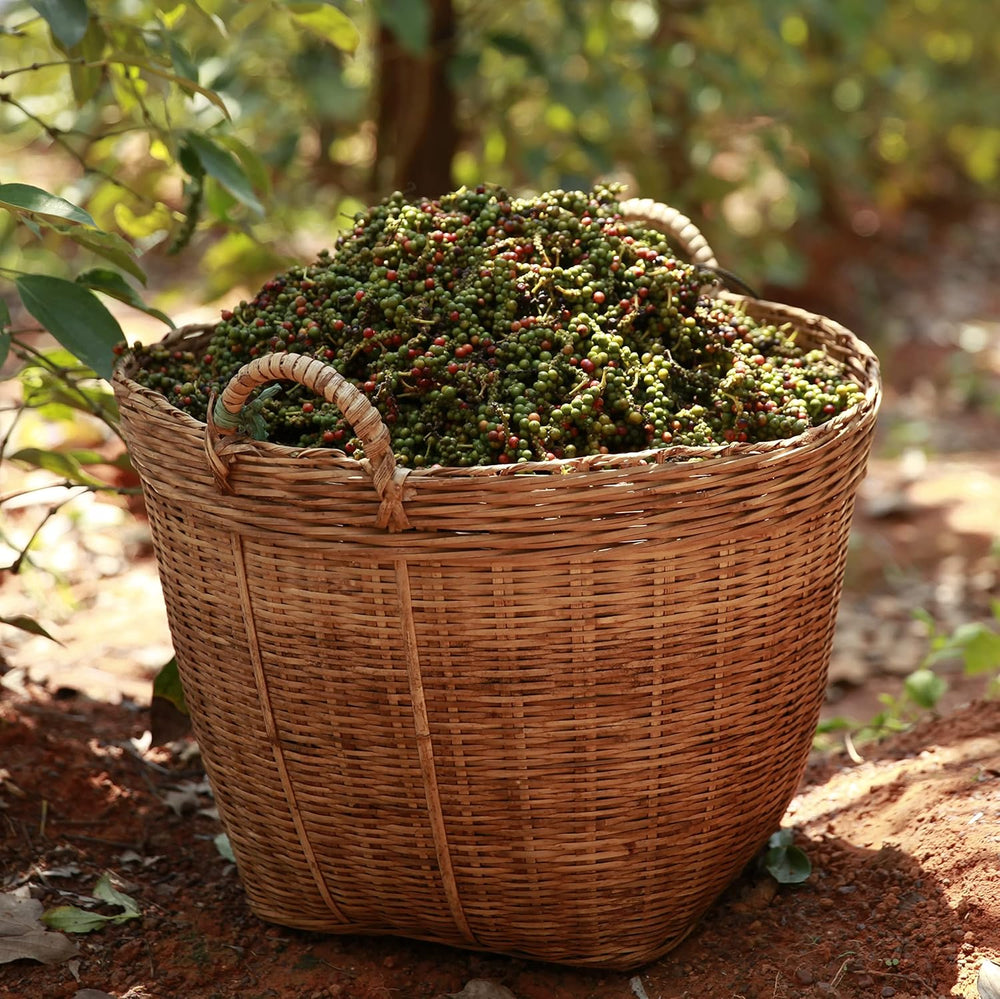 Bar Przypraw Roter Kampot Pfeffer, Premium Auslese aus Kambodscha (1 x 70g)