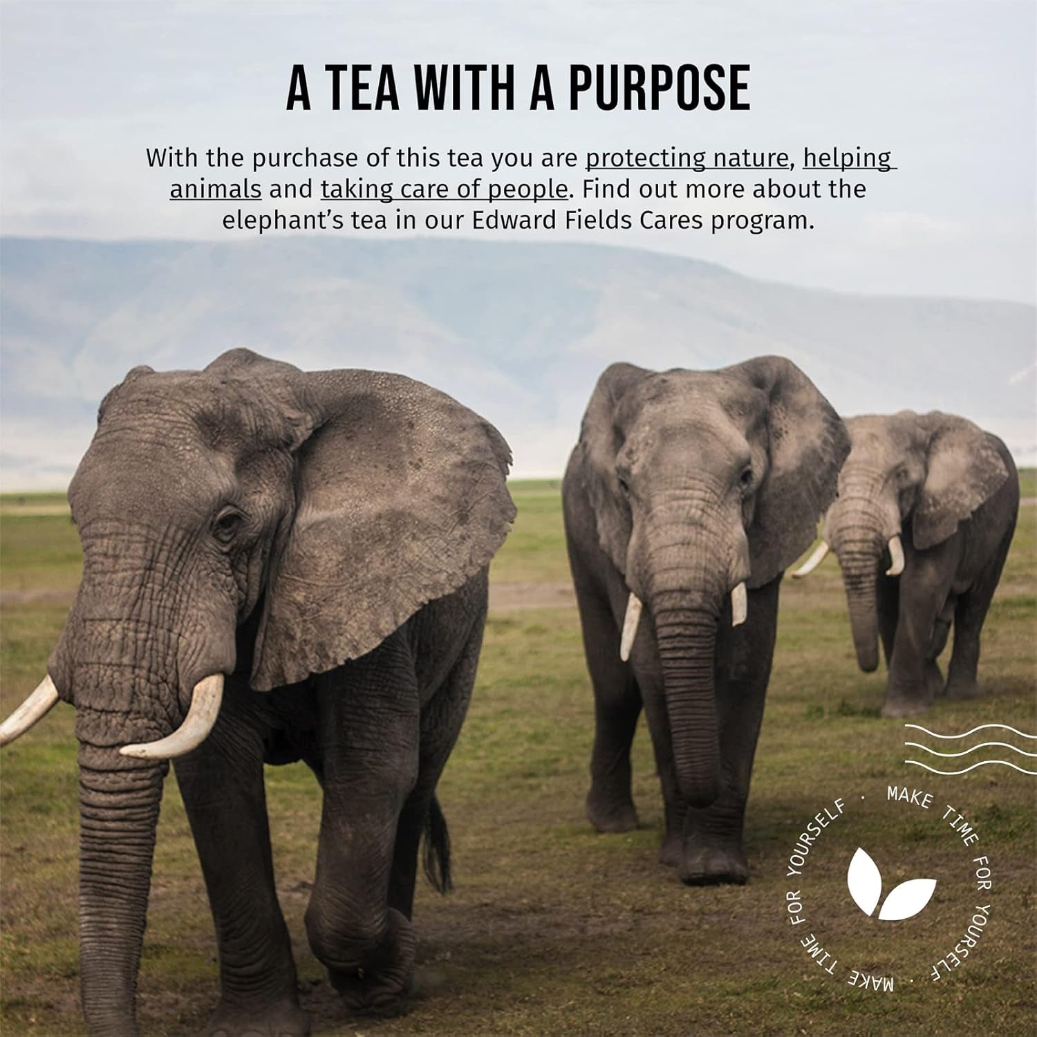 Edward Fields Tea ® - Ceai negru chai organic vrac. Ceai negru chai latte organic cules manual cu ingrediente și arome naturale și organice, 100 g, India. (Chai negru)