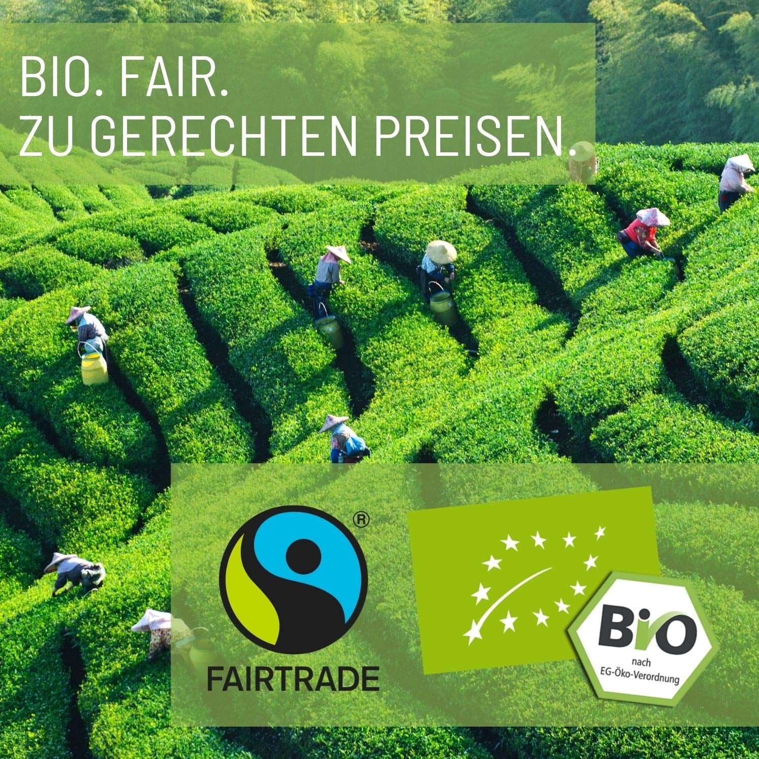 Teeverliebt - Ceai de plante alcalin 1000 g ceai vrac cu 49 de plante organice selectate, ceai alcalin pentru bunăstare cu păpădie, rădăcină de alant, salvie, urzică, scorțișoară, măr și multe altele.