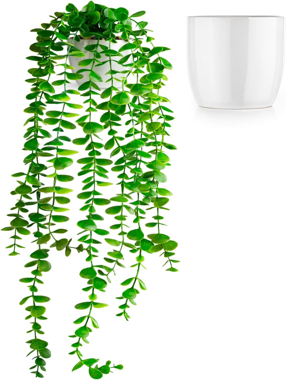 PASCH® 3Er Set Monstera Künstlich (20Cm) in Weißen Keramiktöpfen: Künstliche Pflanzen Wie Echt | Monstera Pflanze Künstlich | Kunstpflanze Hängend Im Topf | Hängepflanze Künstlich Abgestimmt