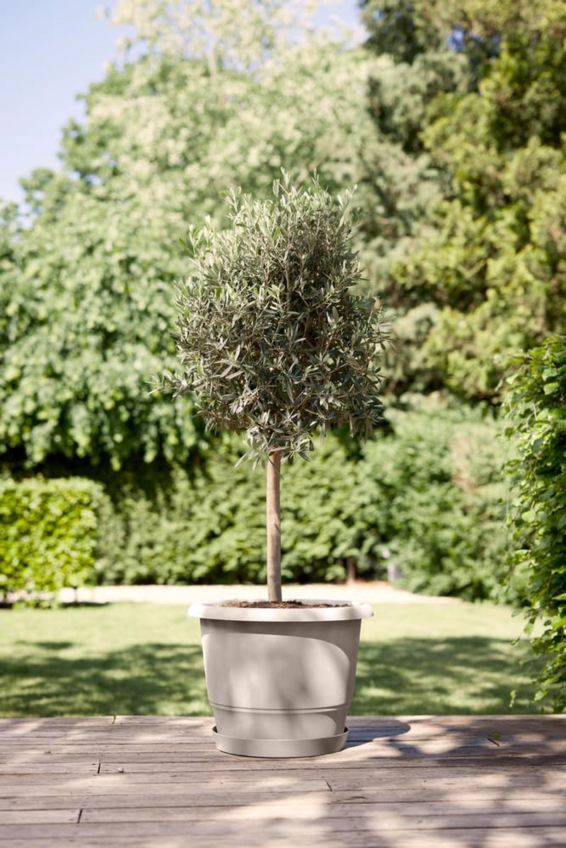 elho Amiga Round 47 - Ghiveci pentru flori pentru interior și exterior - 100% plastic reciclat - Ø 47,0 x Î 35,3 cm - Bej/Bej Ciupercă