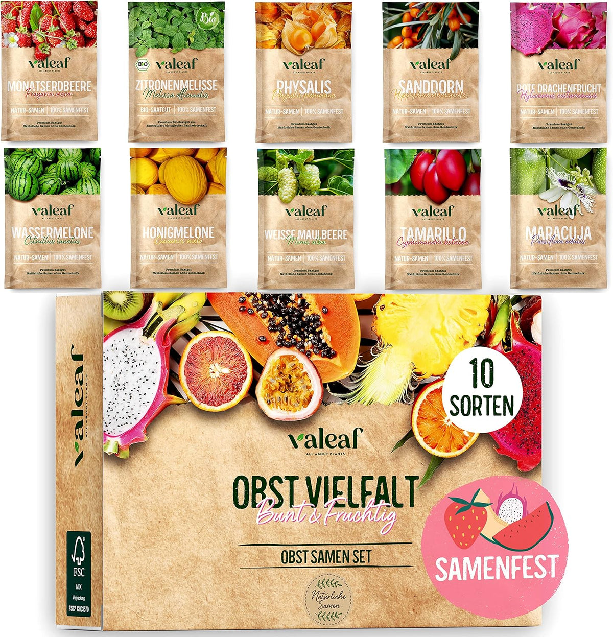 Obst Samen-Set I 10 Sorten Obstsamen I Premium Obst-Saatgut I Pflanzen Kit Inkl. - Erdbeersamen, Melonensamen, Physalis, Drachenfrucht I Pflanzen Saat I Ideales Samen-Set Geschenk