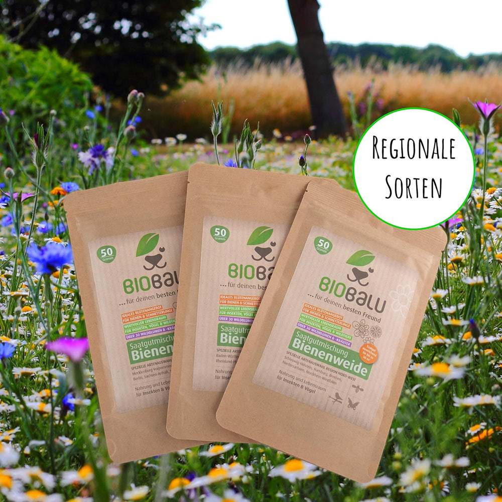Nasiona pszczół - kwiaty łąkowe, wieloletnie i odporne na zimę, nasiona - ponad 40 rodzimych kwiatów i dzikich ziół, specjalny dobór gatunków dla południowych Niemiec, 50g