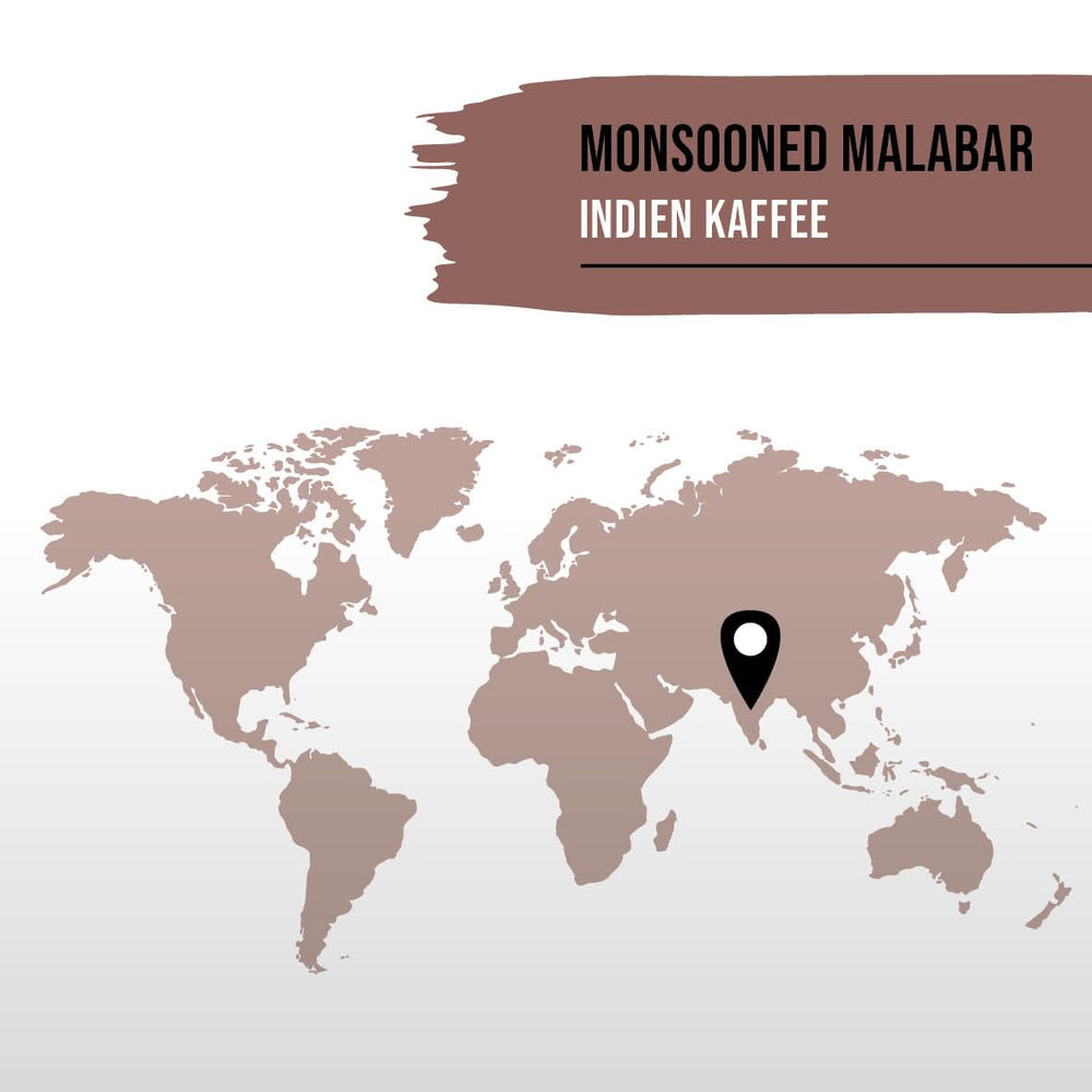 Cafea STARKER TOBAK Monsooned Malabar, boabe întregi, prăjite manual - prăjire medie, India, 100% Arabica, potrivită pentru cafea filtrată, presă franceză, aparate de cafea complet automate, delicată cu stomacul - aciditate deosebit de scăzută
