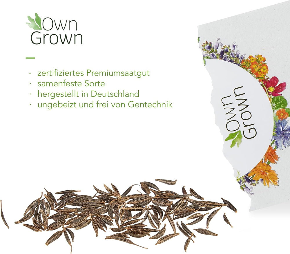 Nasiona Kosmosu (cętkowane): Premium Nasiona Kosmosu na 100 kwitnących roślin Kosmosu – Nasiona kwiatów jadalnych – Nasiona kolorowych kwiatów – Nasiona dzikich kwiatów z OwnGrown