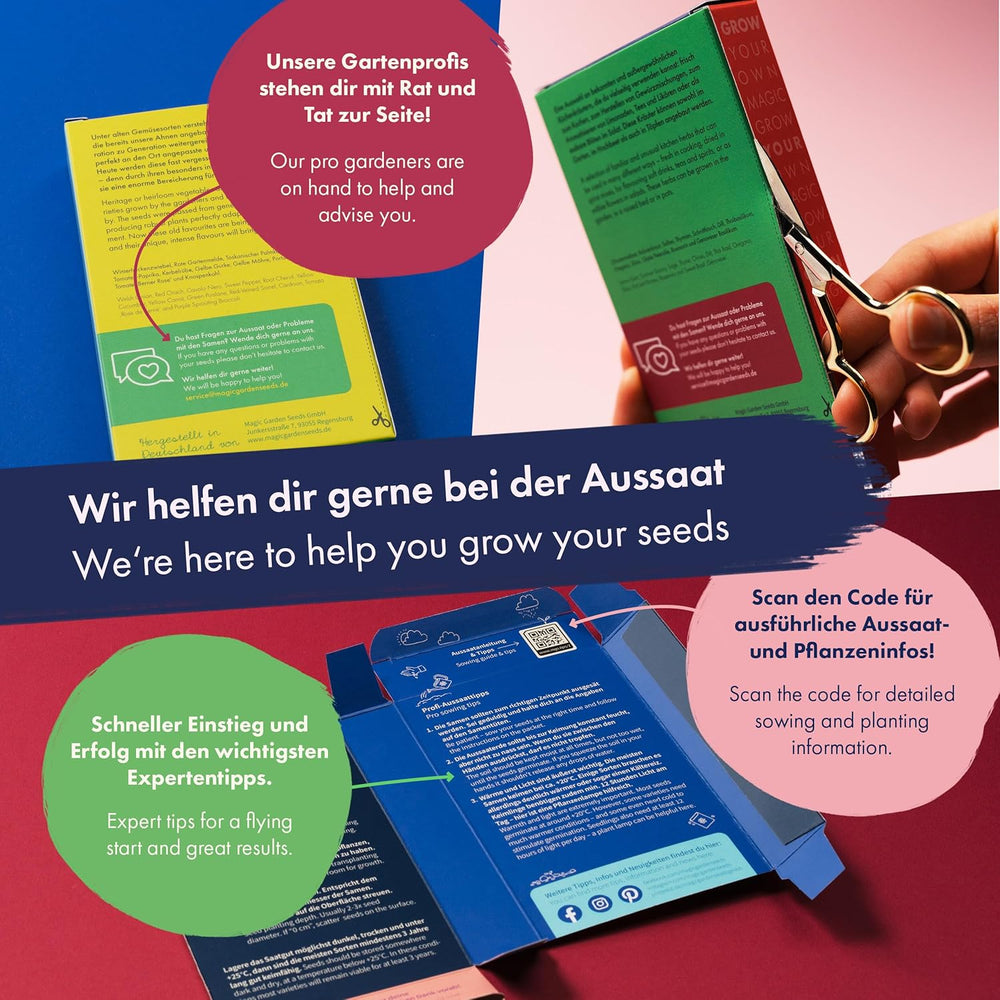 Kwitnąca tęcza - 6 bezpłatnych mieszanek kwiatów zapylanych - Spektakularne i kolorowe - Zestaw nasion dla początkujących, jako mały prezent lub do użytku osobistego
