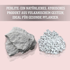 LERAVA® Perlit dla Roślin (5L) – Perlit gruboziarnisty do ulepszania gleby – Zapewnia optymalny drenaż i napowietrzanie – Naturalny dodatek do gleby i hydroponiki – Granulat dla roślin